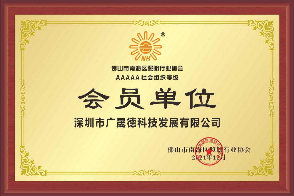 夜色在线视频为佛山南海照明协会会员.jpg